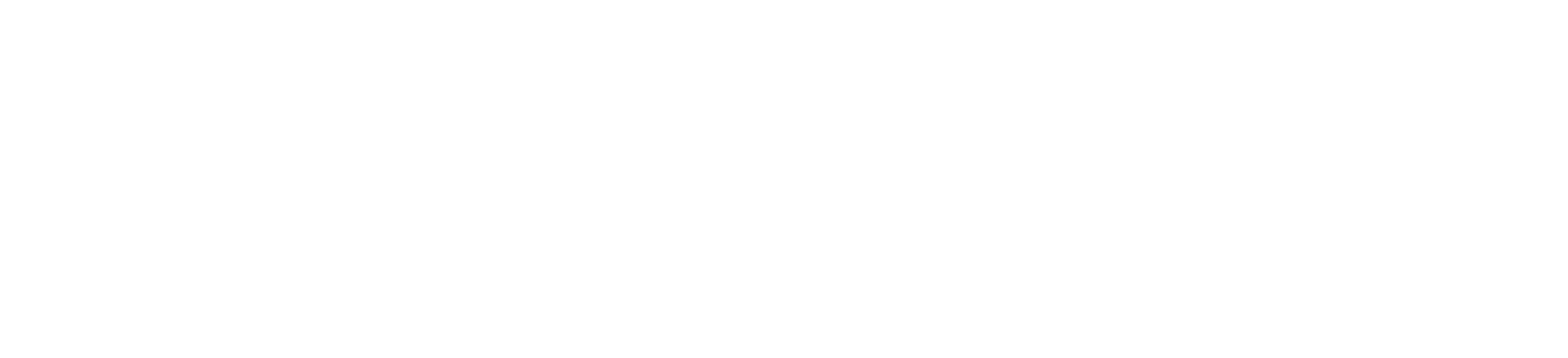 Sponsor Partner logo